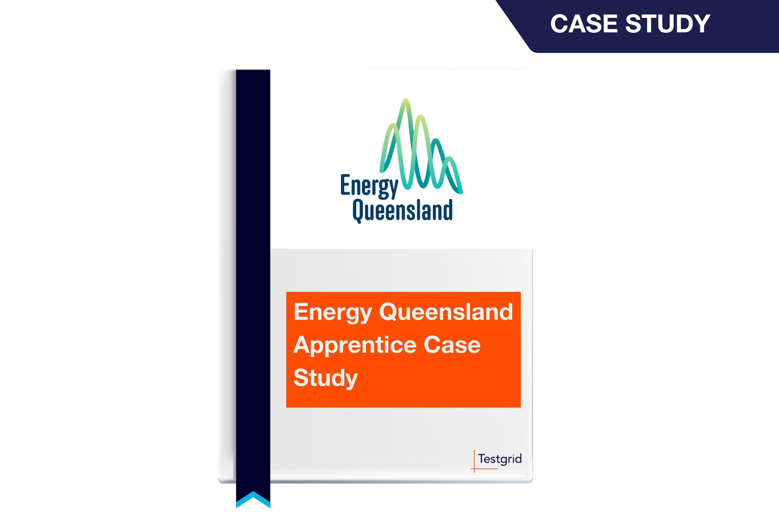 energy queensland case study testgrid