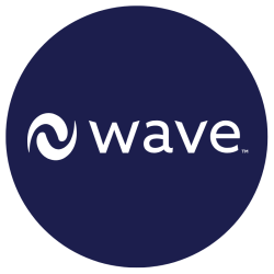 Saville wave behavioural assessments