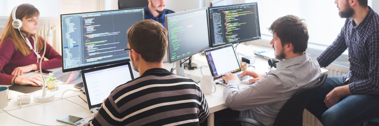 software development